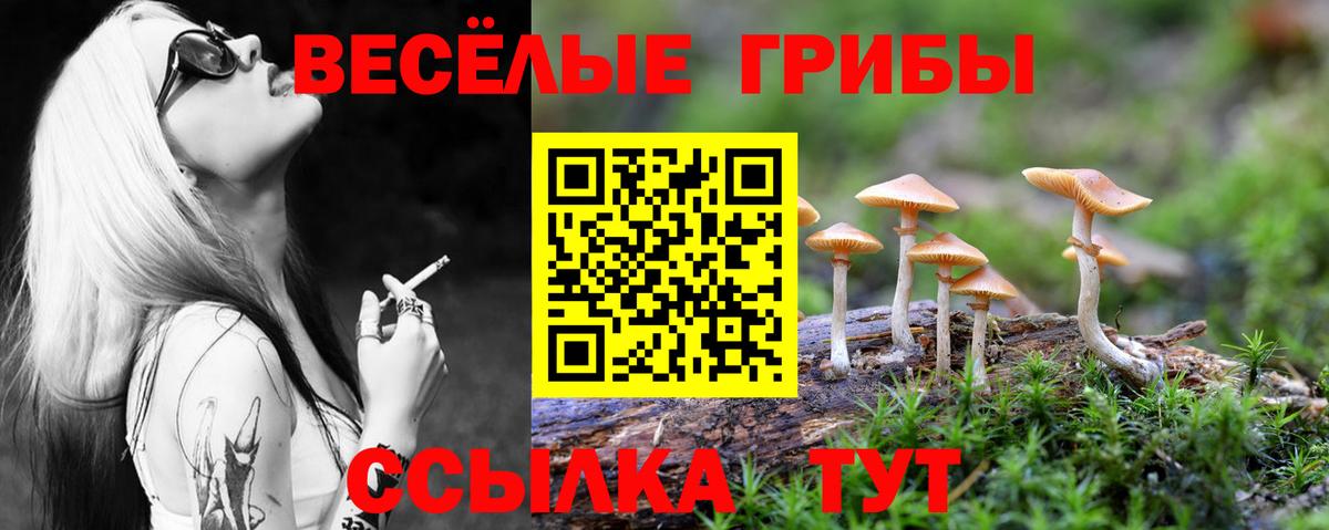 Псилоцибиновые грибы MAGIC MUSHROOMS Крымск