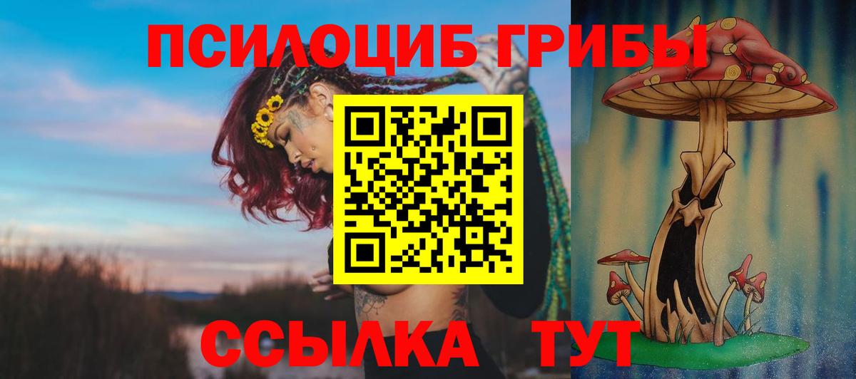 Псилоцибиновые грибы Psilocybe  Вход с VPN  купить  сайты  Крымск 